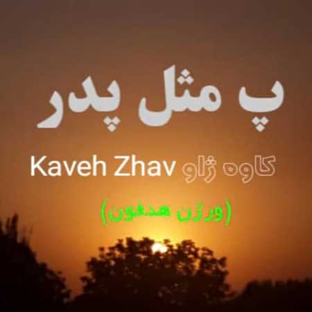 کاوه ژاو پ مثل پدر