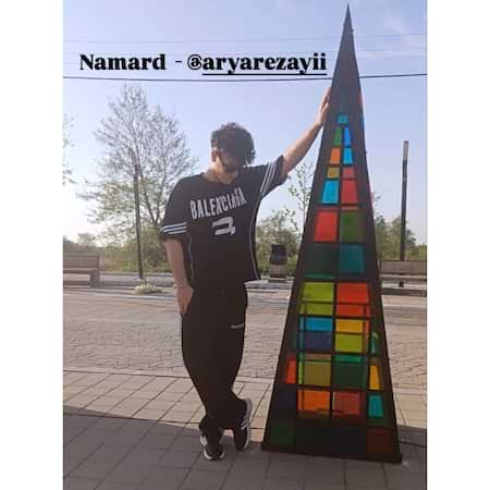 آریا رضایی نامرد