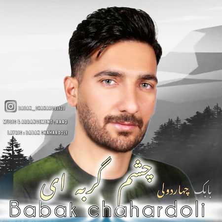 بابک چهاردولی چشم گربه ای بابک چهاردولی چشم گربه ای