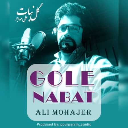 علی مهاجر گل نبات علی مهاجر گل نبات