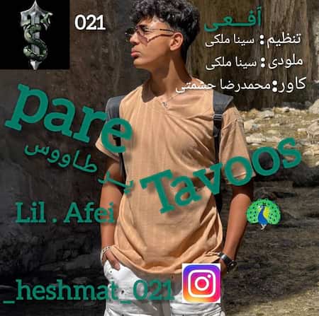 محمدرضا حشمتی پر طاووس