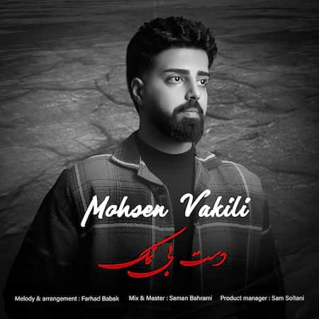 محسن وکیلی دست بی نمک