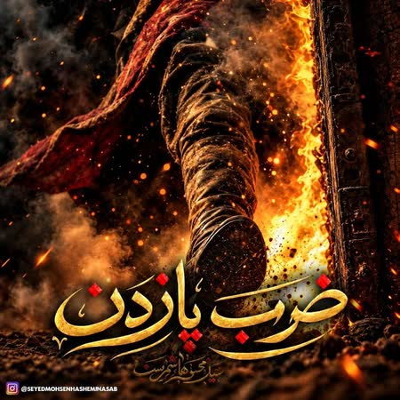 سید محسن هاشمی نسب ضرب پا زدن سید محسن هاشمی نسب ضرب پا زدن